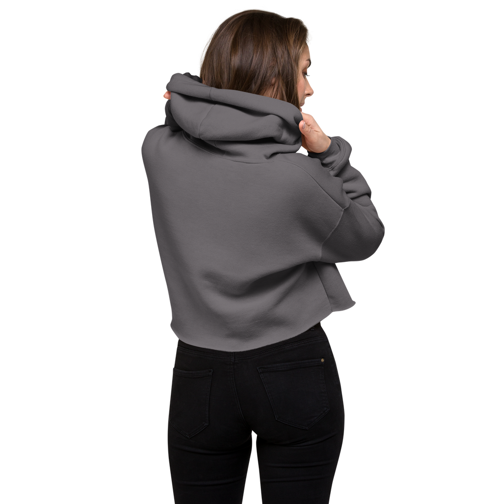 True North Collective Cropped Hoodie